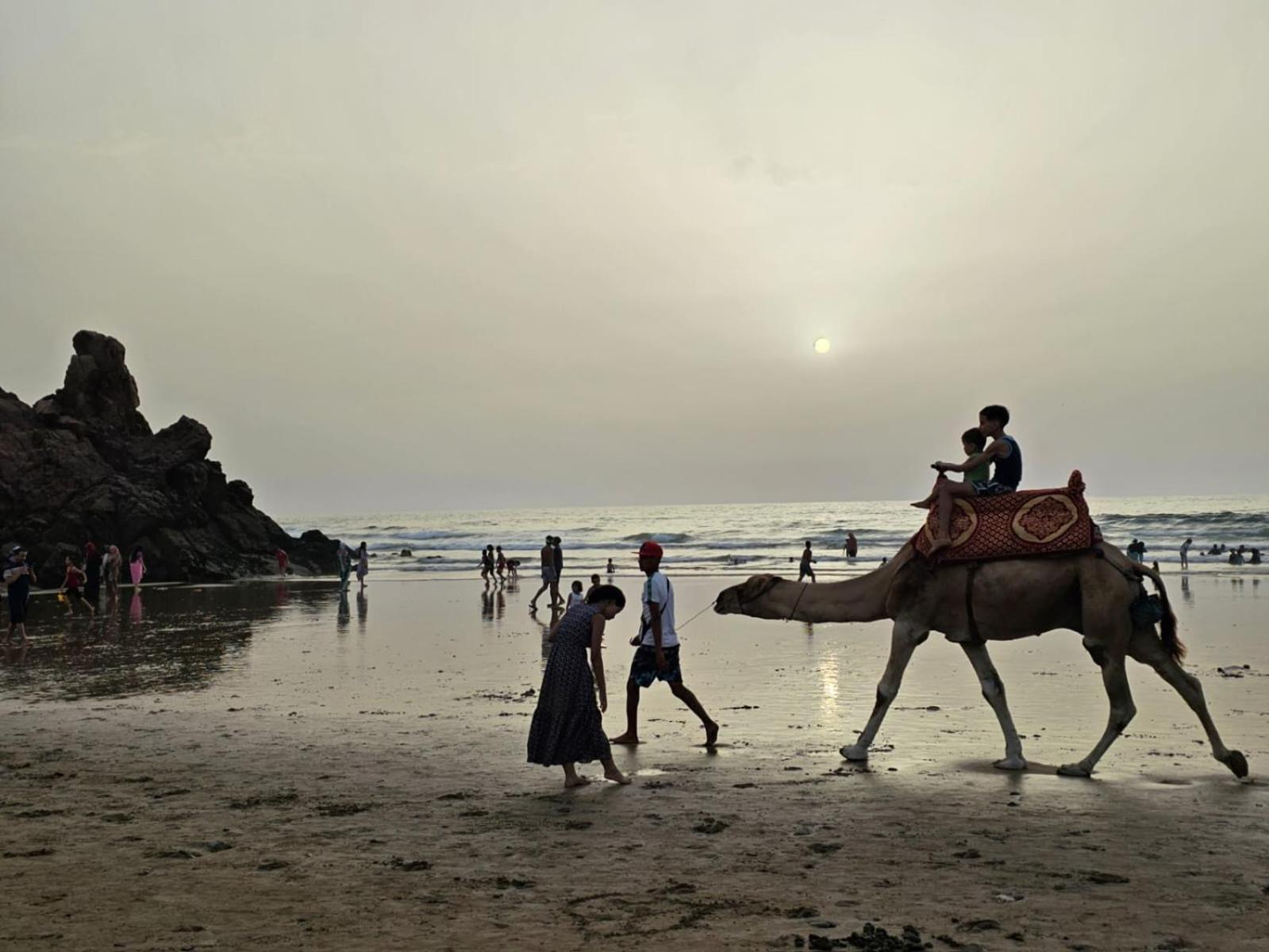Goldenbeachhouse ميرلفت المظهر الخارجي الصورة